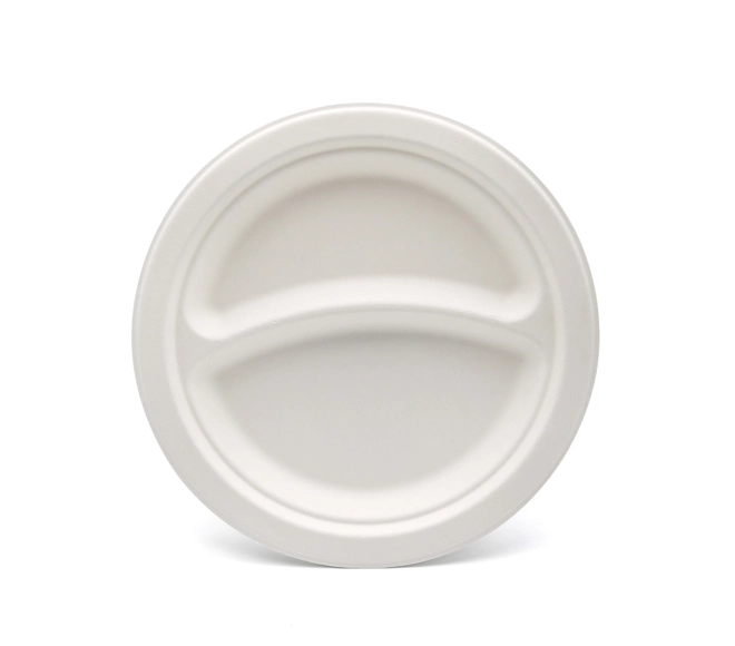 bagasse disposable plate