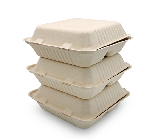 bagasse food box