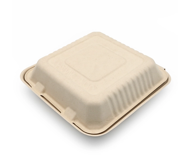 bagasse food container