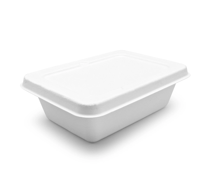 bagasse lunch box