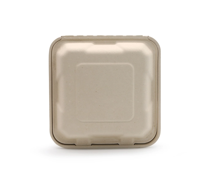 compostable bento boxes
