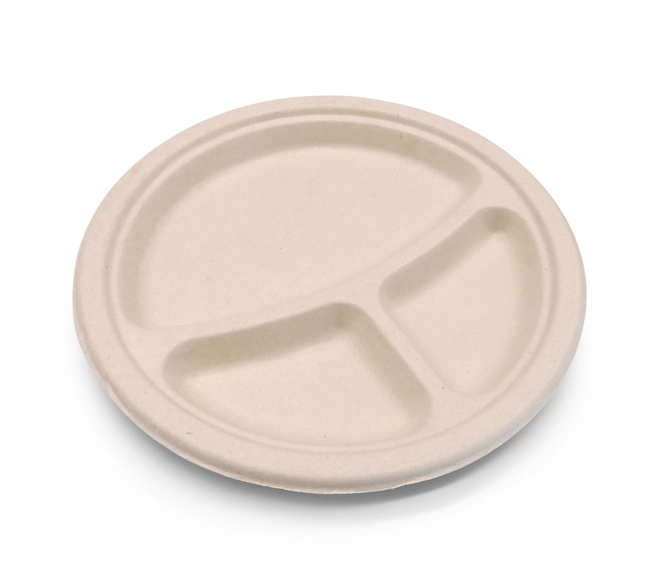 biodegradable sugarcane bagasse plates