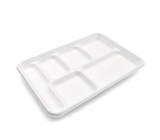 6 compartment disposable food tray
