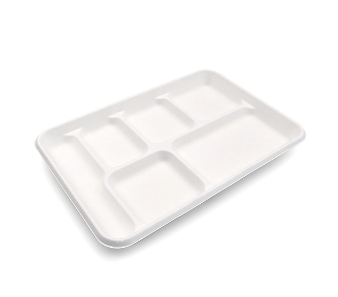 6 compartment disposable food tray
