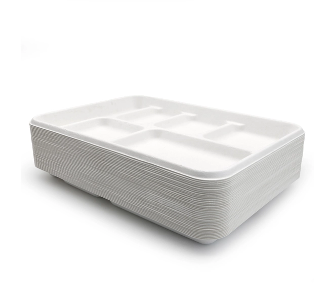 biodegradable lunch trays for schools
