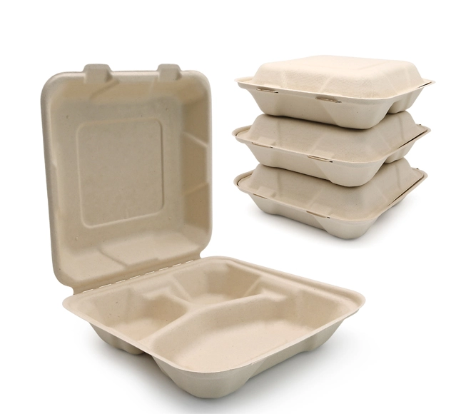 recyclable lunch box
