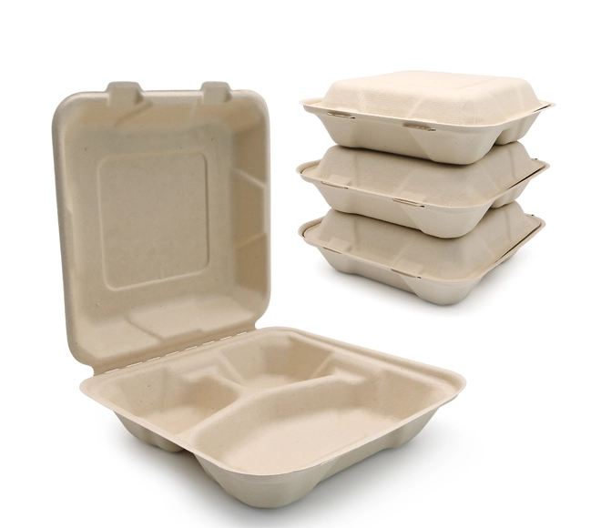 recyclable lunch box
