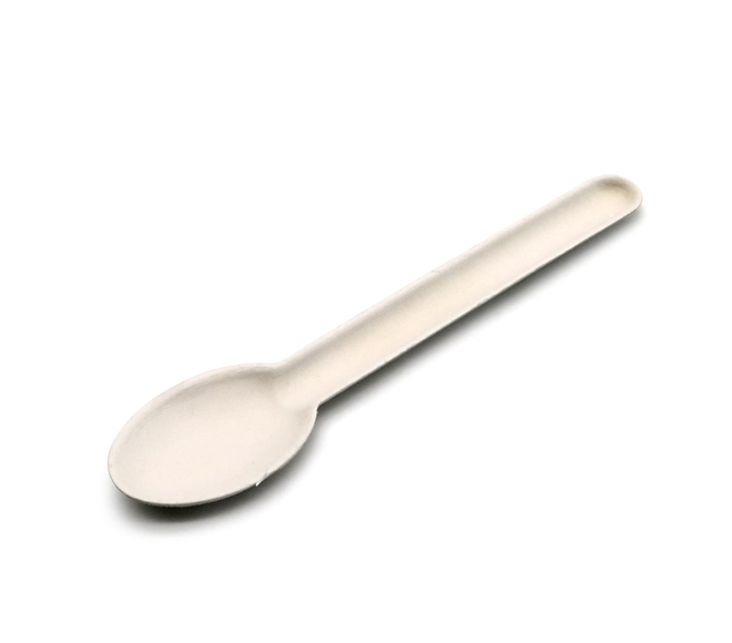 biodegradable disposable spoons
