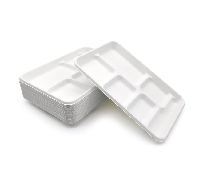disposable lunch trays