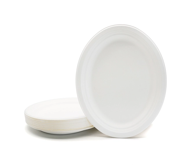 compostable dinnerware
