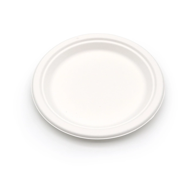 disposable plates from bagasse