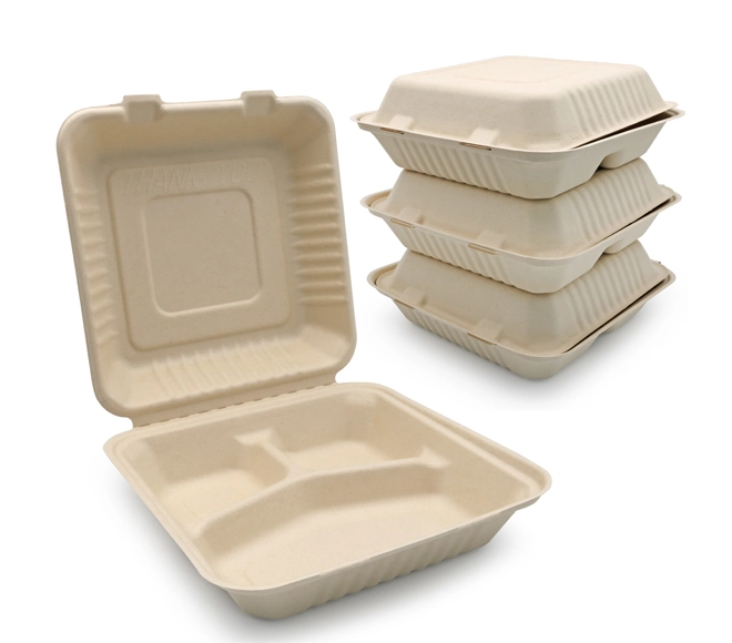 lunch box bagasse