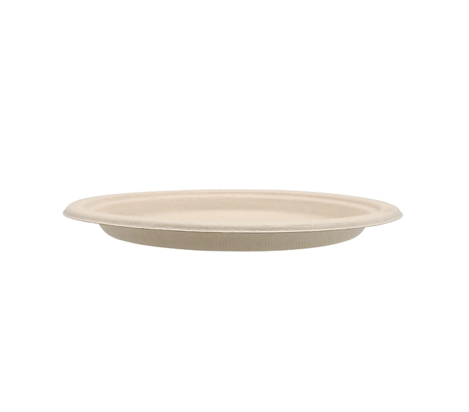 eco friendly plates bulk
