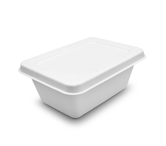 biodegradable compostable food containers
