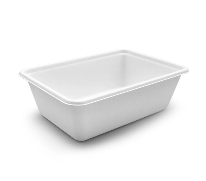 sugarcane bagasse box