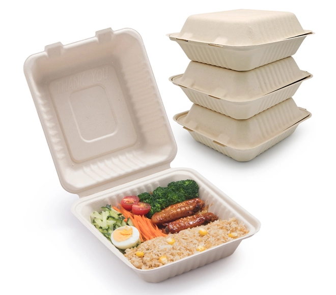 sugarcane bagasse container