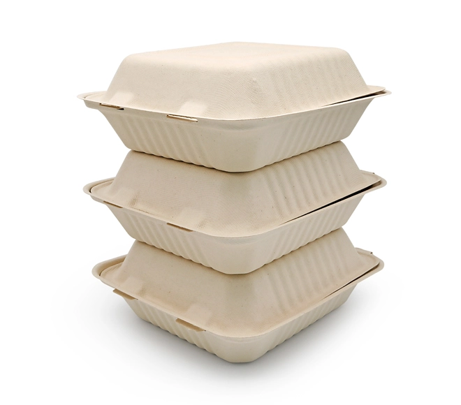 sugarcane bagasse food container