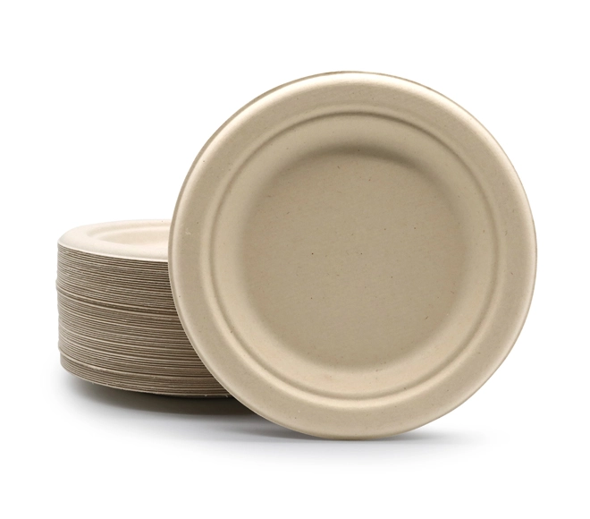 disposable takeaway plates
