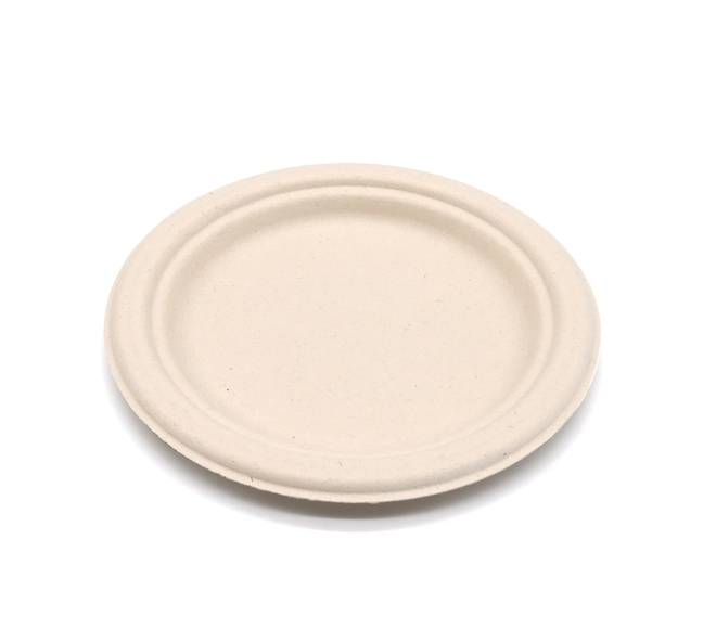 white biodegradable plates