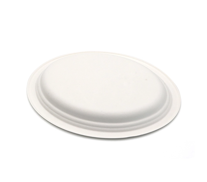 eco friendly disposable dinnerware
