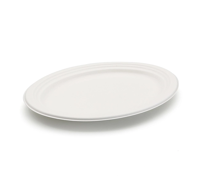 compostable dinner plates
