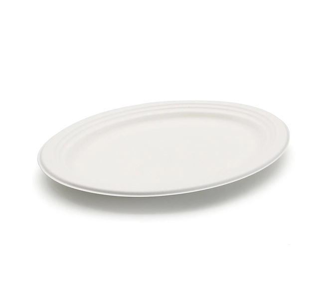 compostable dinner plates
