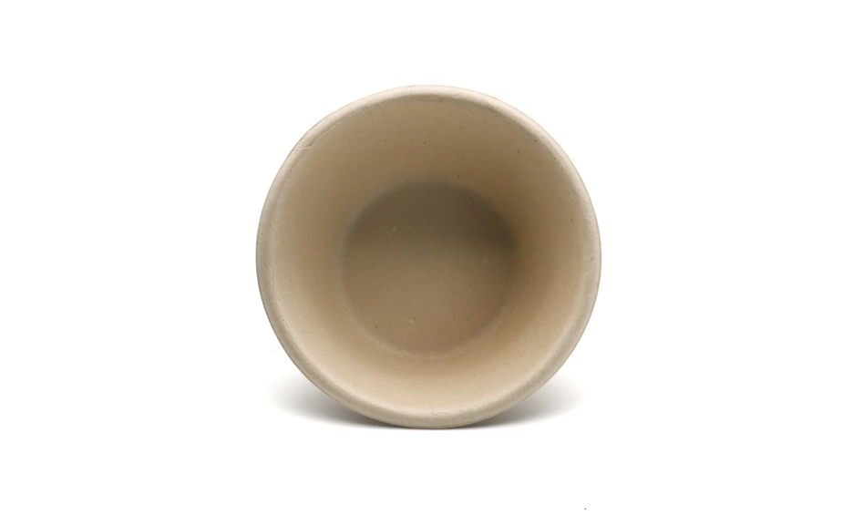 bagasse bowl with lid
