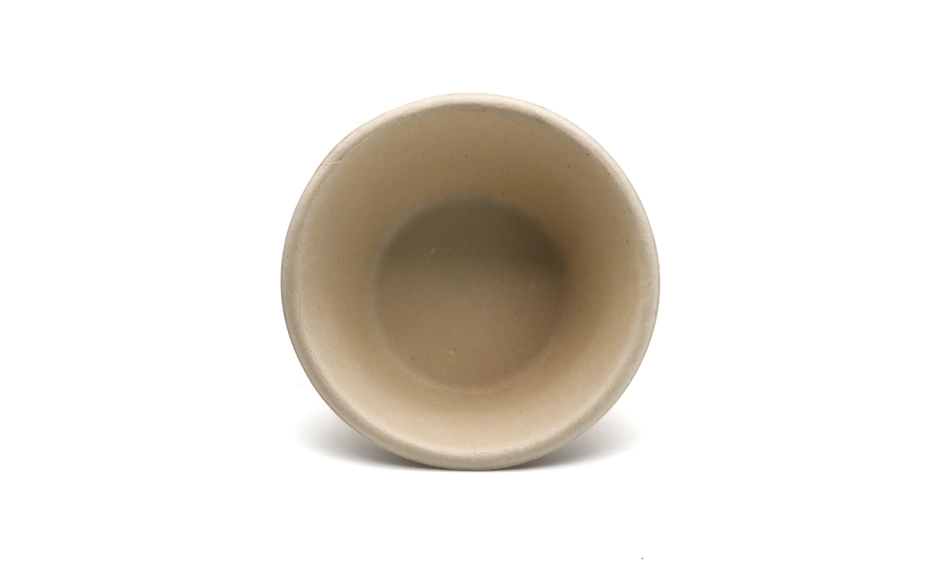 bagasse bowl with lid
