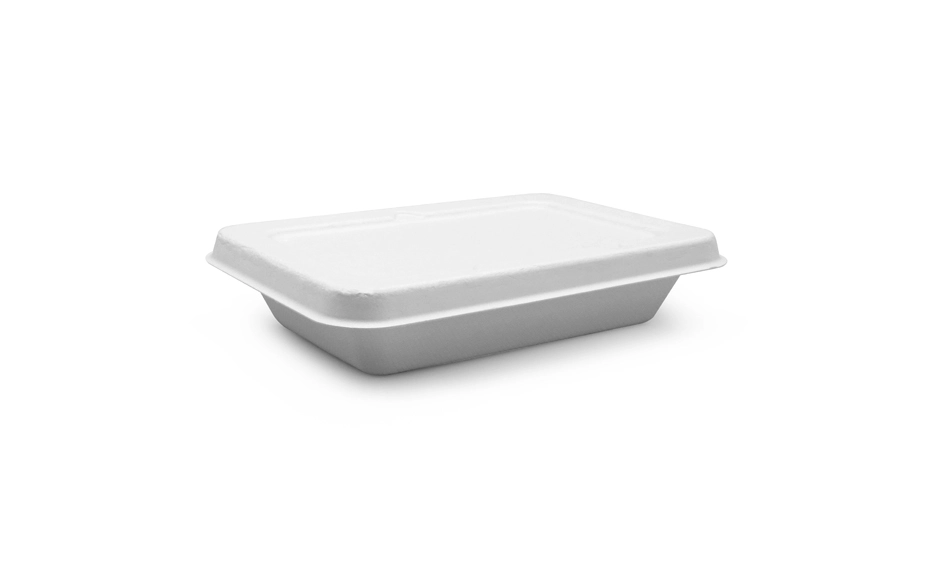 Take Out Containers That Keep Food Fresh and Warm - Wholesale Club