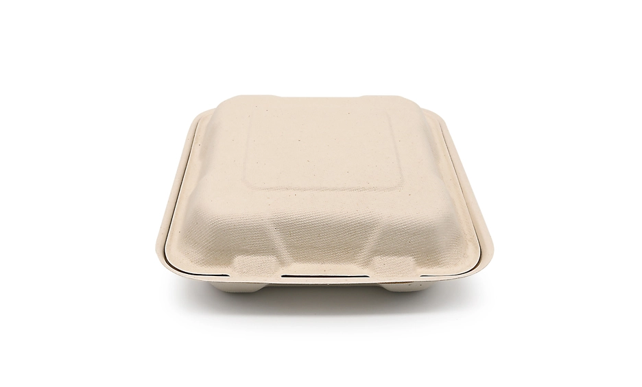 bagasse takeaway containers
