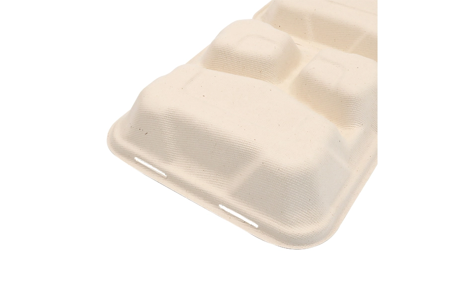 biodegradable containers with lids