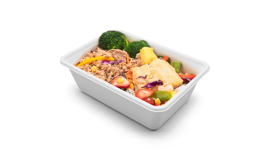 biodegradable food containers with lids
