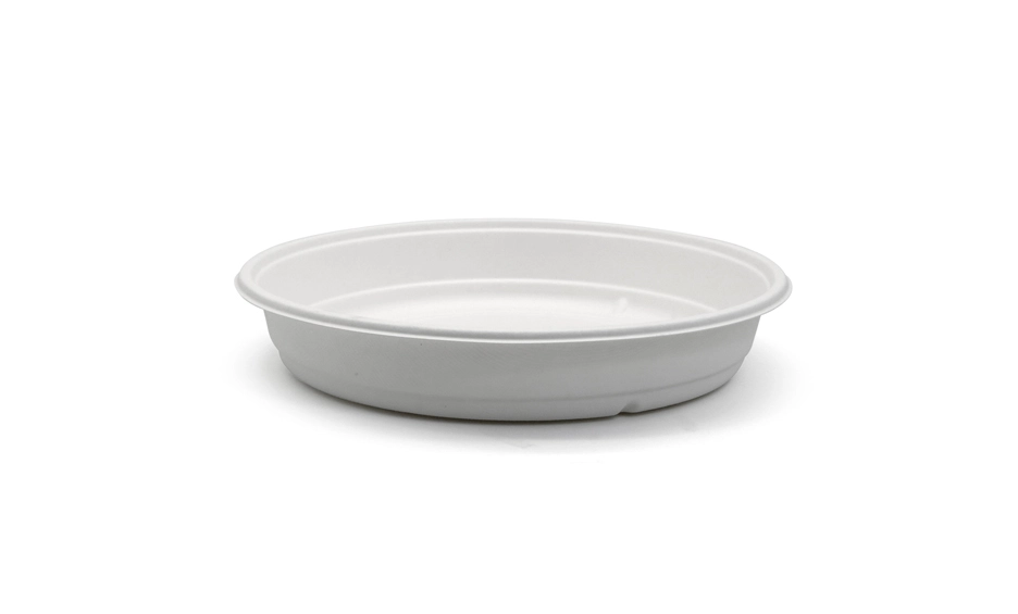 bagasse salad bowl
