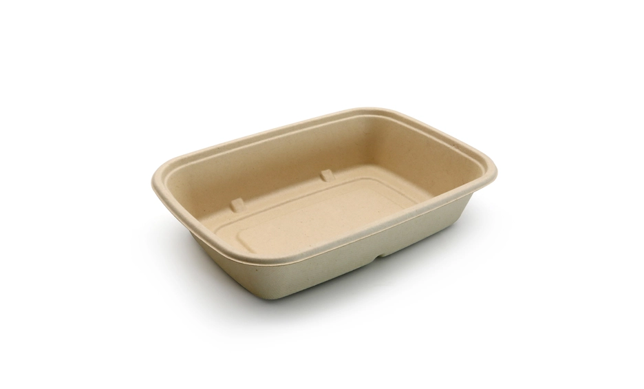 compostable bento boxes