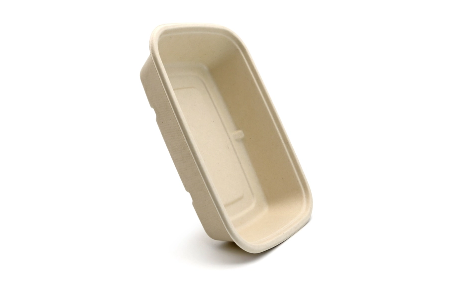 compostable boxes for food
