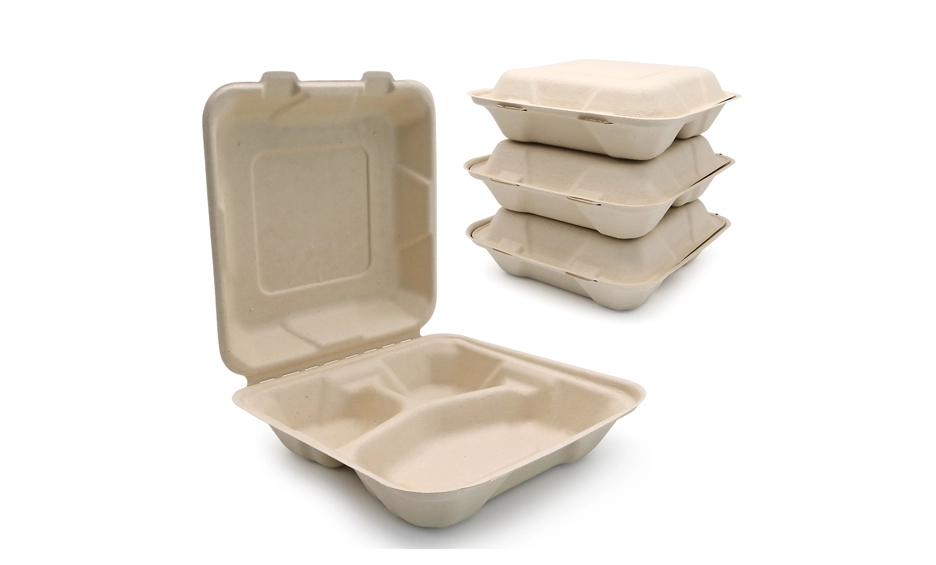 compostable bento boxes
