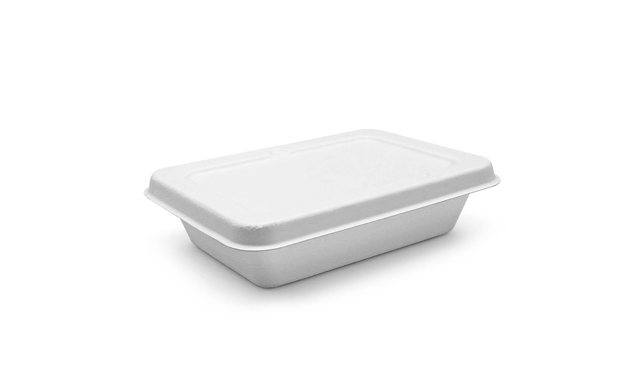 bagasse food box
