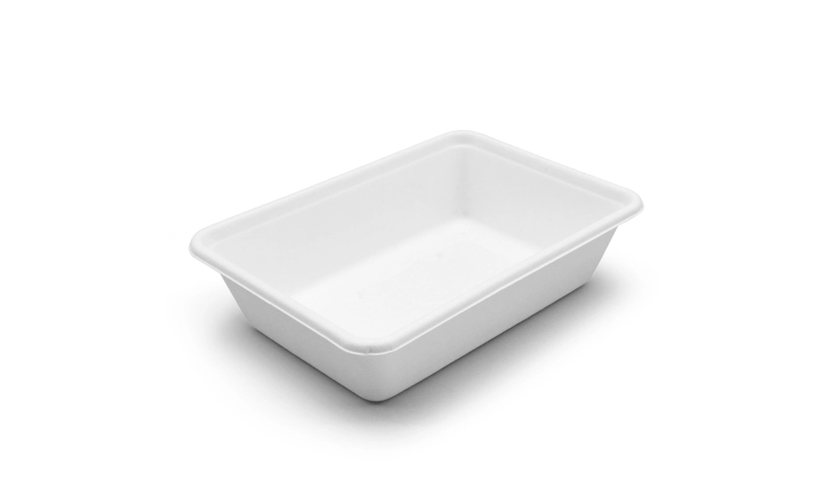 bagasse meal box
