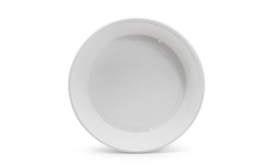 sugarcane bagasse disposable bowl