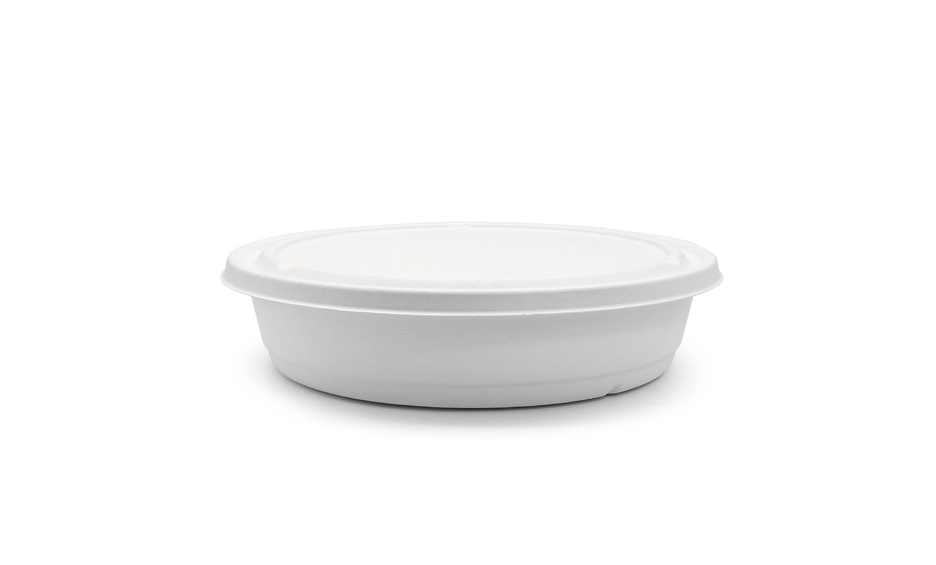 compostable lunch containers