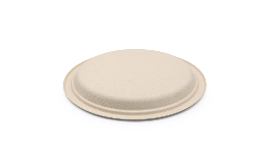 reusable biodegradable plates