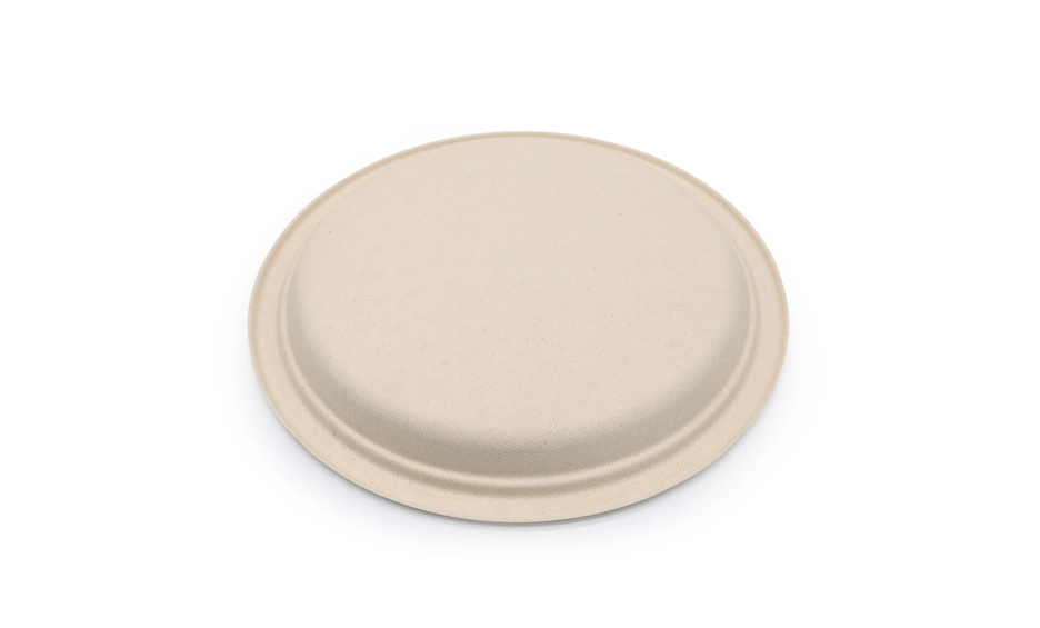 environment friendly disposable plates