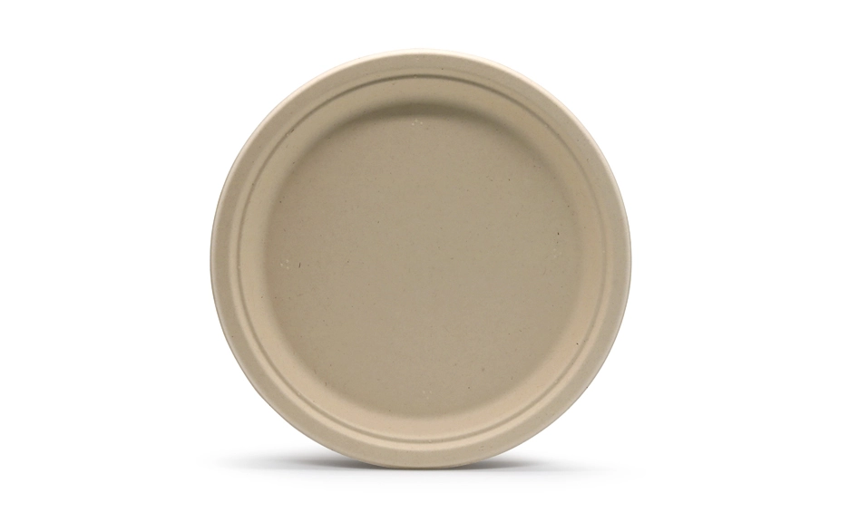 sugarcane bagasse plates
