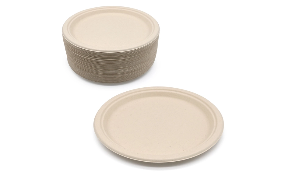 eco friendly food plates