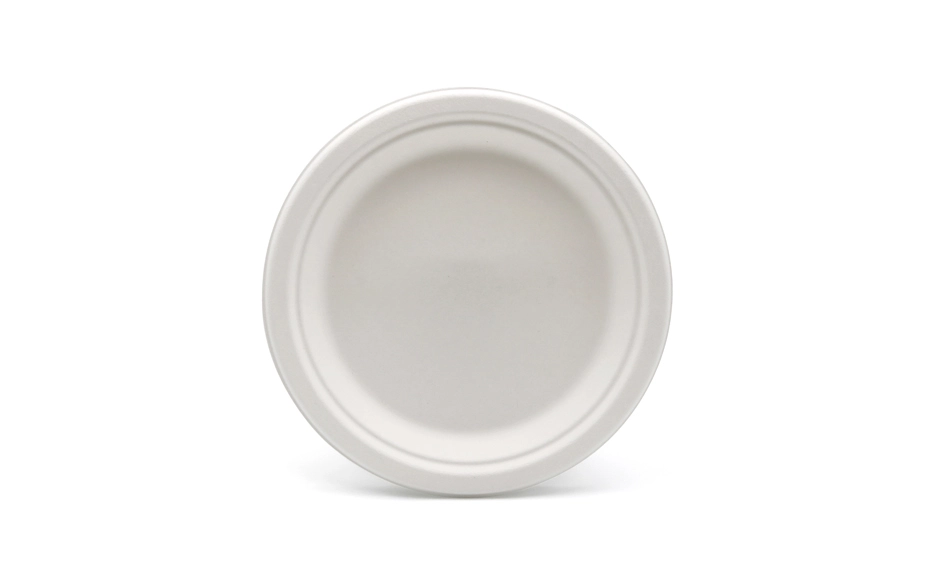 biodegradable disposable plates