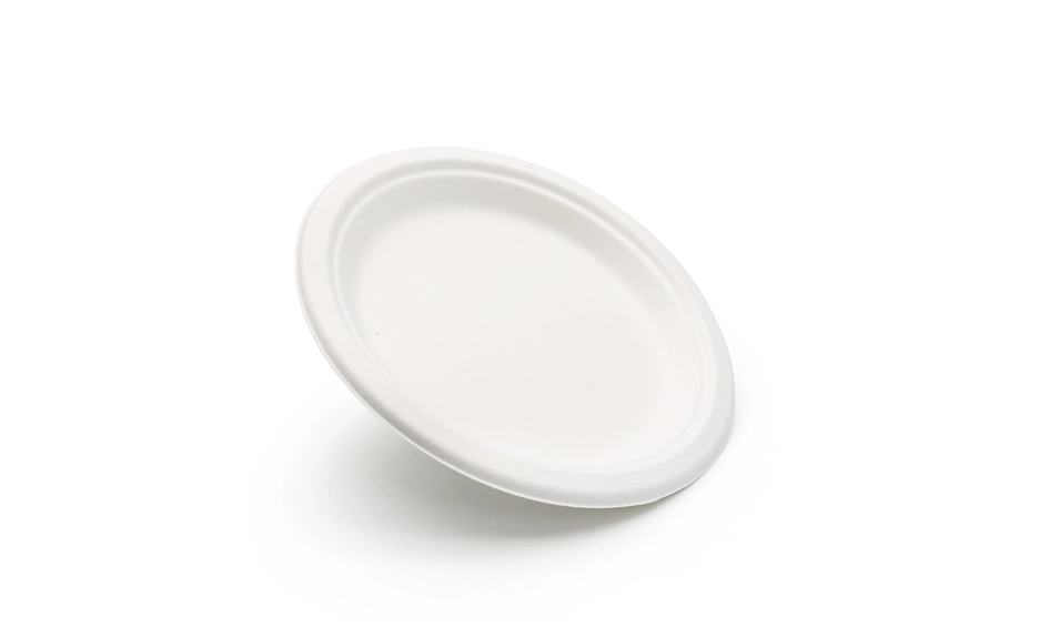 biodegradable plates and utensils