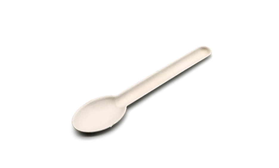 eco friendly disposable spoons
