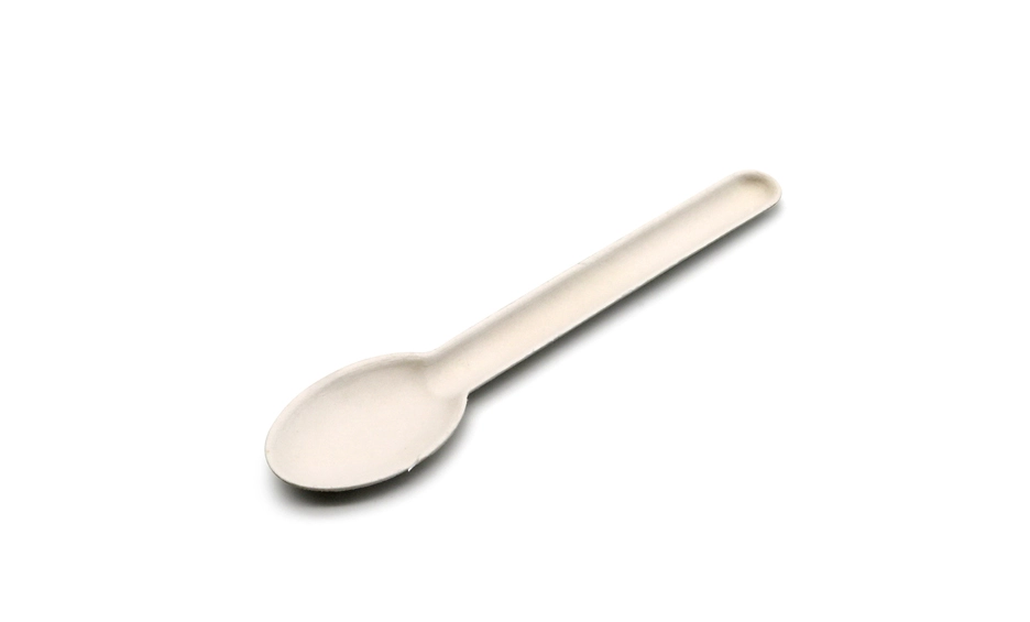 eco friendly disposable spoons
