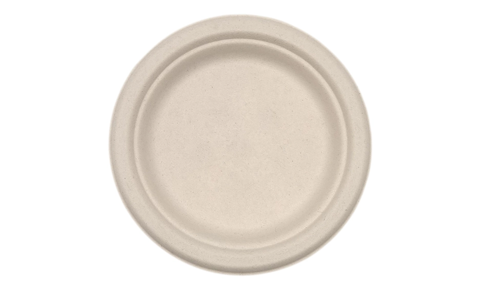 disposable plates for restaurants
