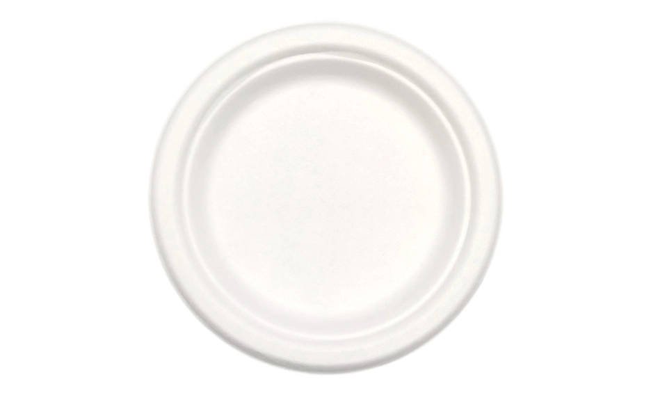 sustainable disposable plates
